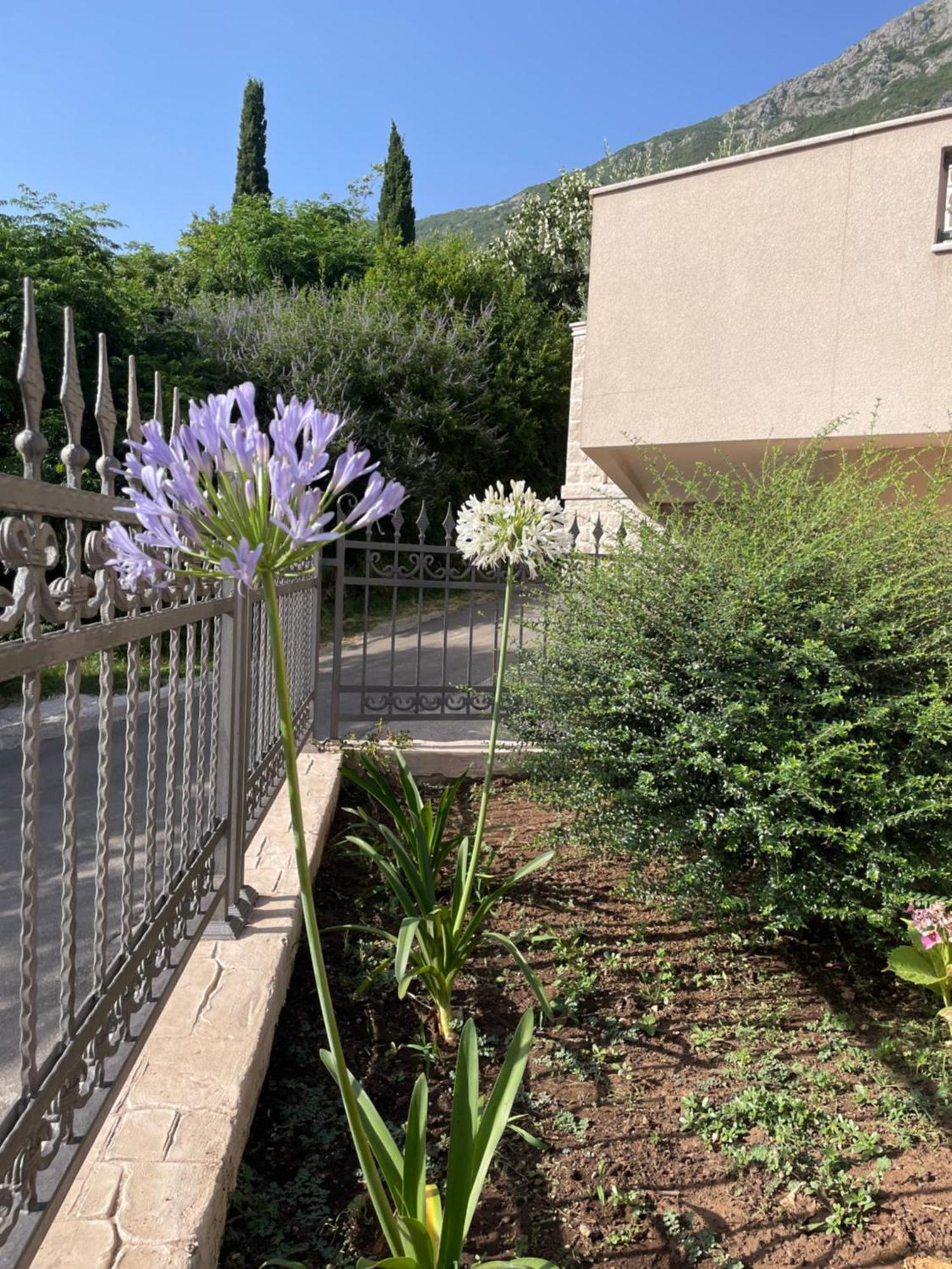 ריסאן Villa Pul מראה חיצוני תמונה